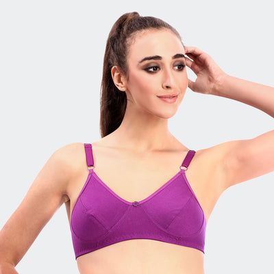 Buy Naidu Hall Double Layered Non Wired Full Coverage T-Shirt Bra - Wine at  Rs.195 online